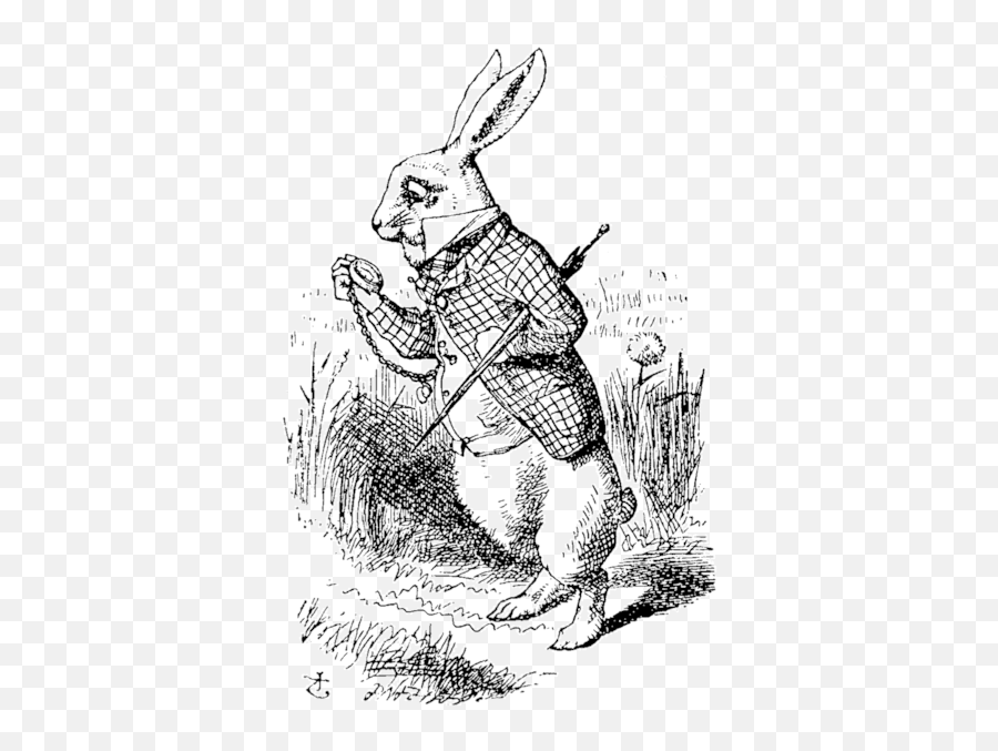 Rabbit Hole - John Tenniel White Rabbit Png,Hole Png