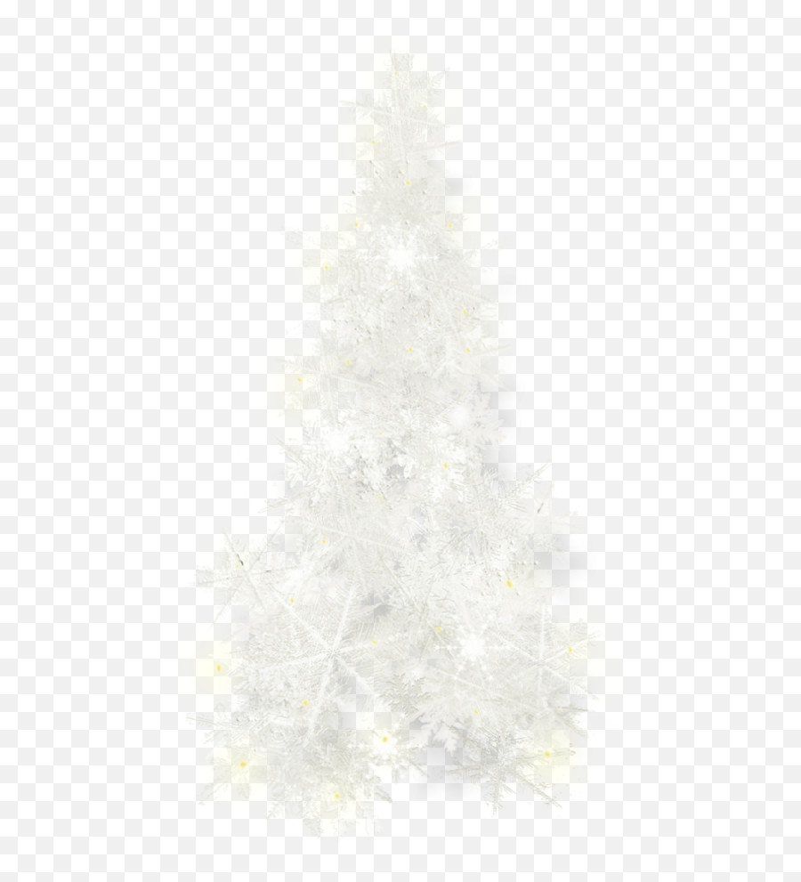 Fir Tree Ornament Day Spruce Christmas - Christmas Tree Png,Christmas Tree Transparent Background