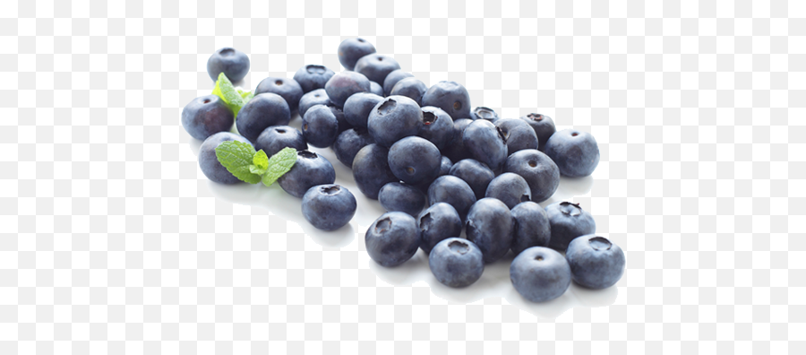 Png Transparent Blueberry - Free Blueberries Clipart,Blueberries Png