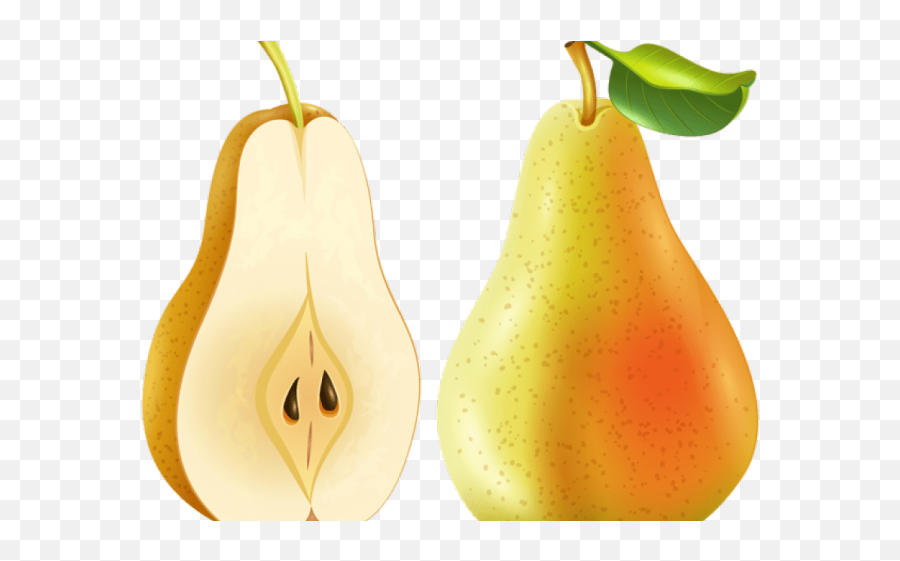 Pear Png Transparent Images 19 - 3635 X 2474 Webcomicmsnet Pear,Pear Png