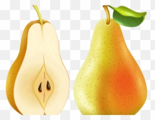 Pear Png Transparent Images 19 - 3635 X 2474 Webcomicmsnet Pear,Pear Png