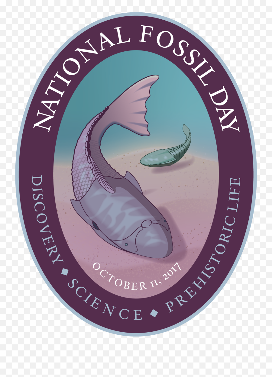 National Fossil 2017 Artwork - Hellbender Png,Fossil Png