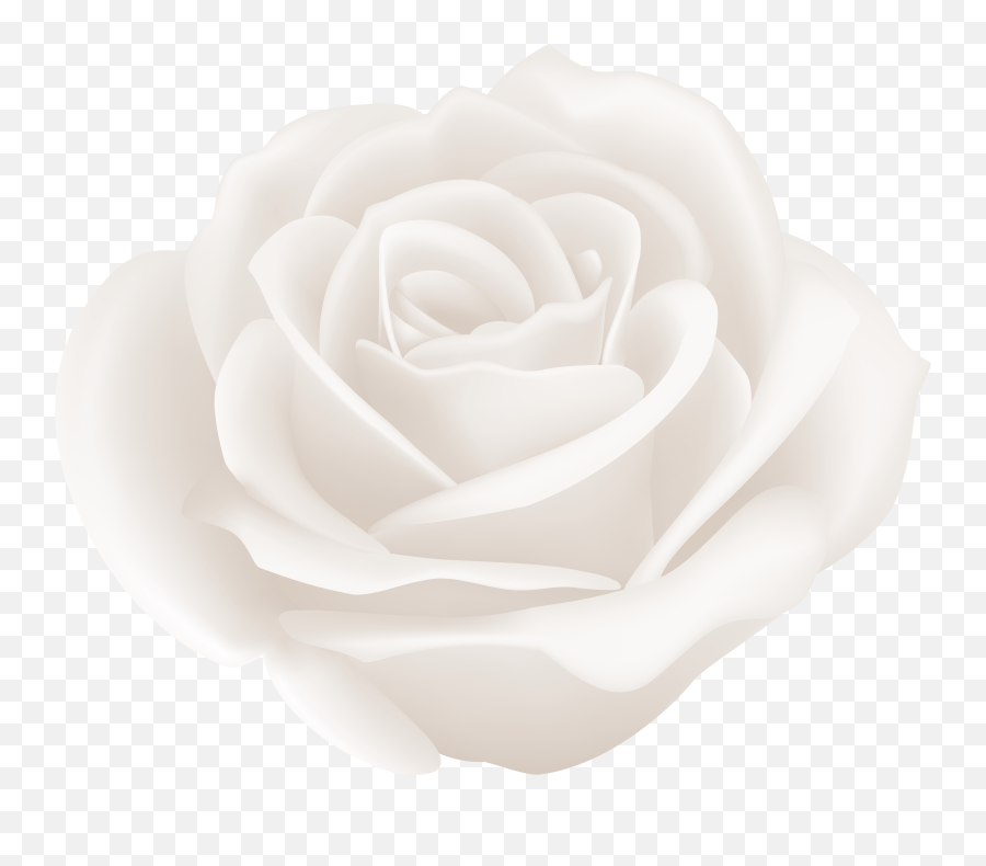 Hd Black And White Rose Png Transparent