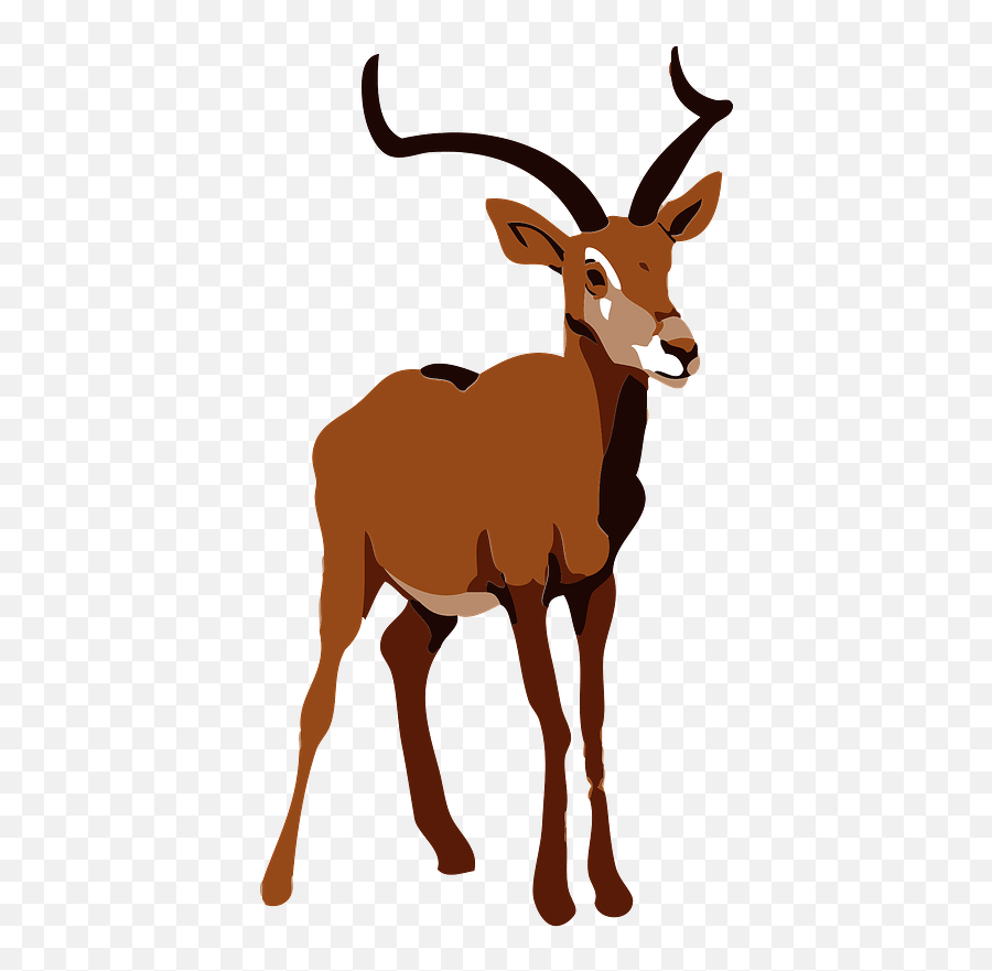 Impala Animal Clipart - Deer Png,Impala Png