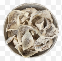 Unprocessed Raw Birdu0027s Nest - 100 Grams Shell Png,Bird Nest Png