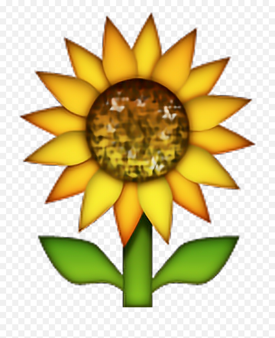 Flower Emoji Png - Sunflower Emoji Flowers Freetoedit Sunflower Emoji Transparent Background,Sunflower Transparent Background