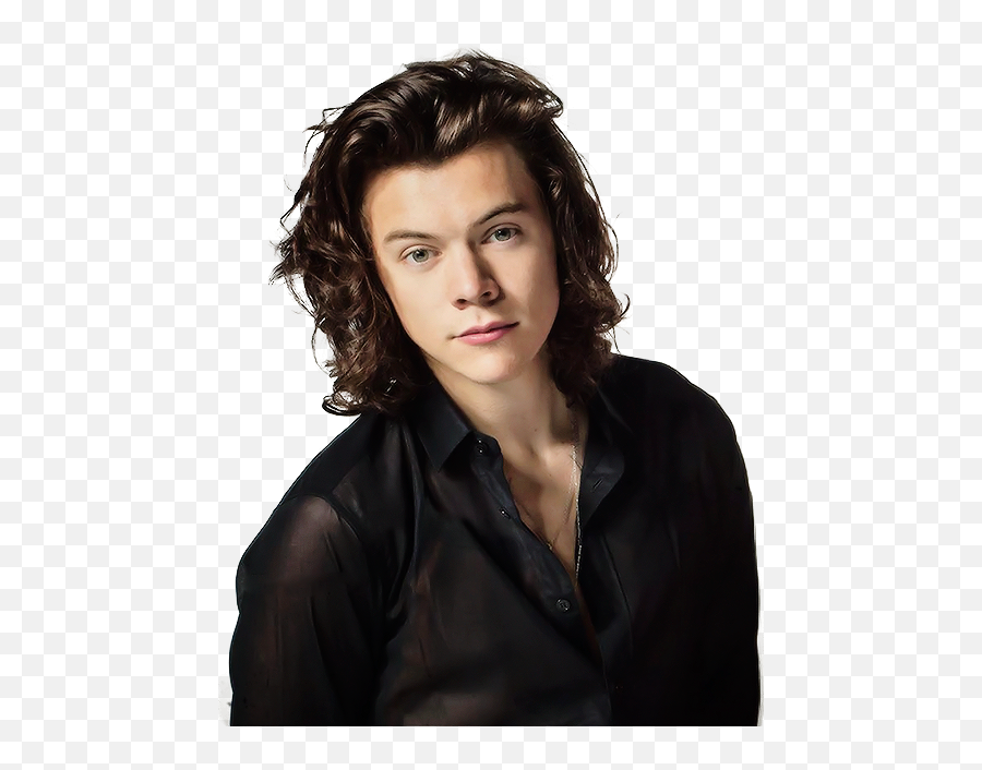 Harry Styles Png Photo - Harry Styles Back Pack,Harry Styles Png