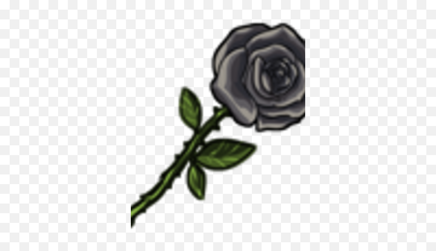 Roses - Floral Png,Black Roses Png