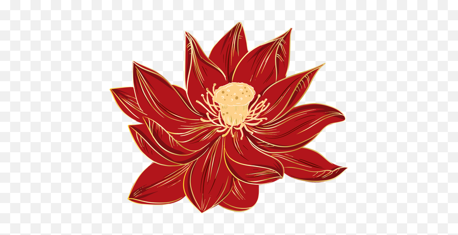 Chinese Hibiscus Flowers - Nymphaea Nelumbo Png,Flowers Transparent Png