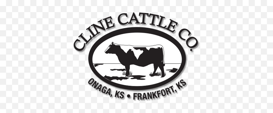 Cline Cattle Company Angus Simmental - Cattle Company Png,Cattle Brand Logo