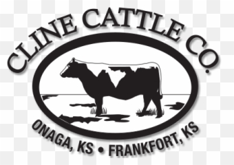 Cline Cattle Company Angus Simmental - Cattle Company Png,Cattle Brand Logo