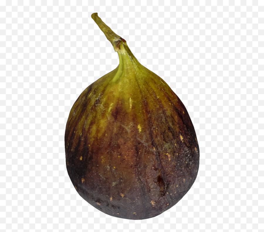 Food Archives Page 10 Of 27 3dbee - Common Fig Png,Fig Png