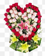 Cariño Mío - Corazón De Rosas Rojas Png,Rosas Rojas Png