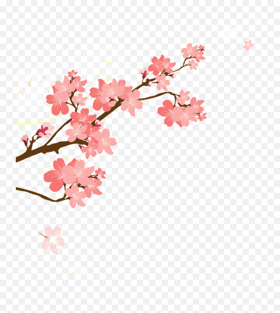 Download Korean Style Cherry Blossom Cartoon Transparent - Transparent Transparent Background Cherry Blossom Png,Cherry Blossoms Transparent