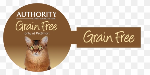 Petsmart Portfolio Creative Harvest - Tom And Jerry Friends Forever Png,Petsmart Logo Png