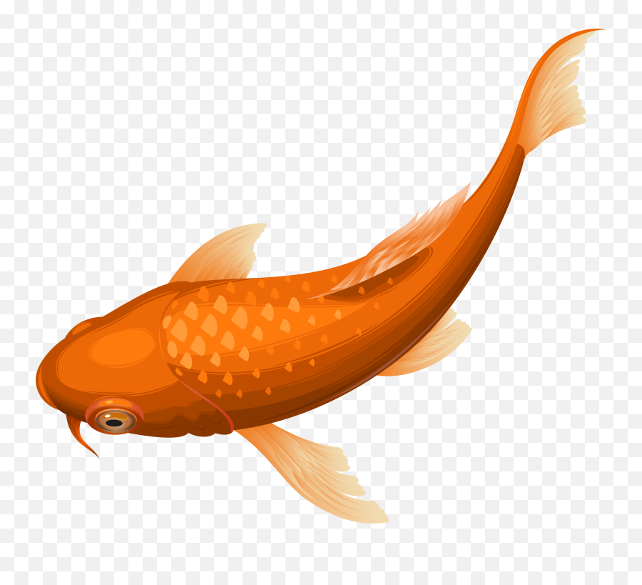 Pond Fish Svg Library Stock Png