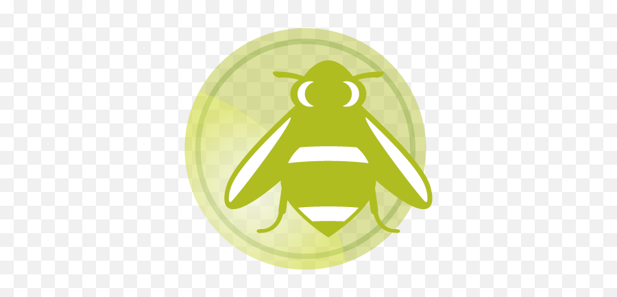 Iconography Dayton Childrenu0027s - Fly Png,Bumble Icon