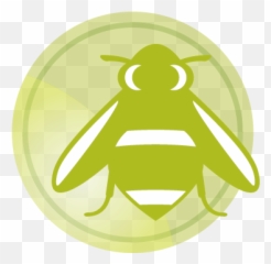 Iconography Dayton Childrenu0027s - Fly Png,Bumble Icon