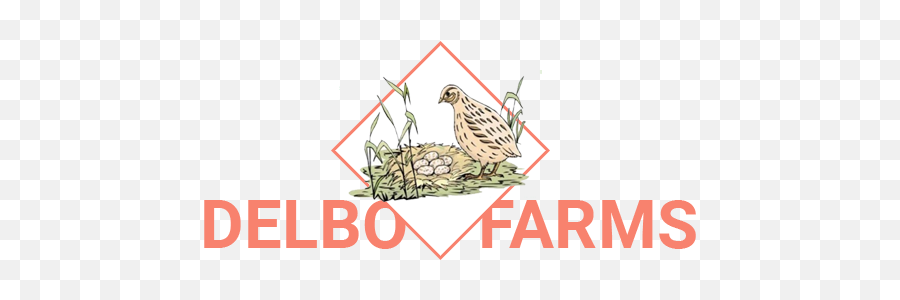 Delbo Farms - Bella Canva Logo Png,Quail Icon