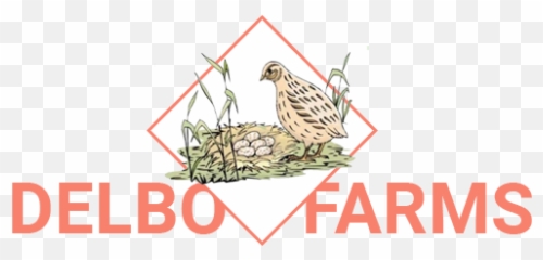 Delbo Farms - Bella Canva Logo png