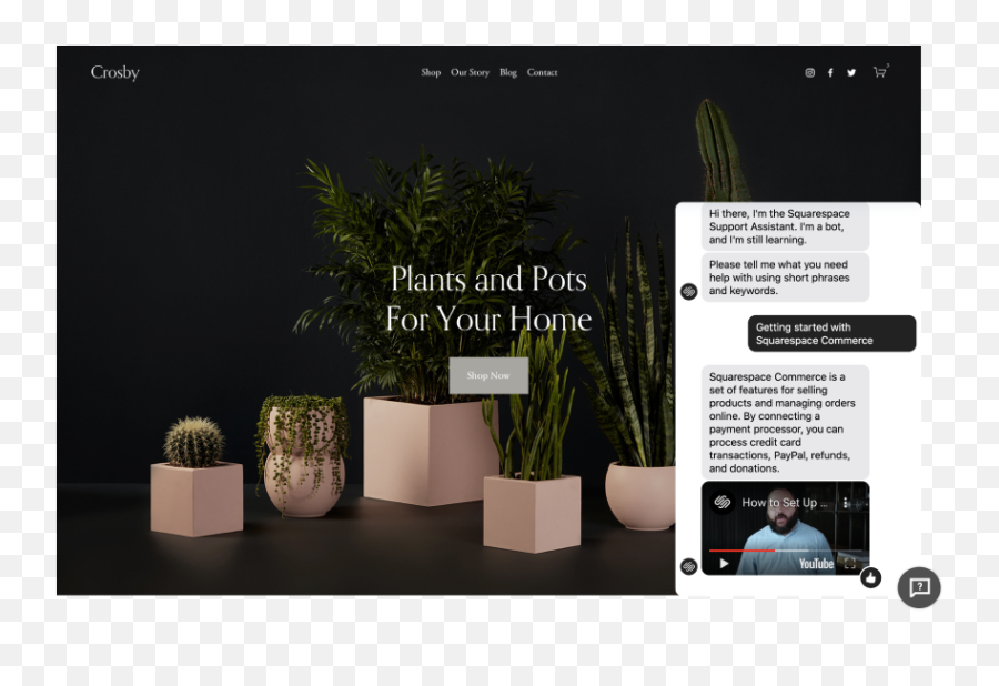 Squarespace Help Center - Squarespace Live Plants Website Png,Have Icon For Your Web Site Squarespace