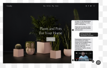 Squarespace Help Center - Live Plants Website png