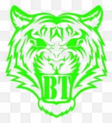 Cropped - Draw The Tiger Face png