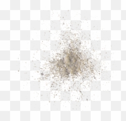 Download Free Png Sand Image - Insect,Sand Png