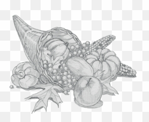 Download Cornucopia Sketch - Cornucopia Sketch Black And White Png,Cornucopia Png