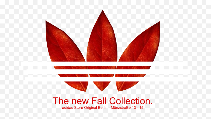 Las 24 Mejores Imágenes De Adidas Logo Fondos - Adidas The New Fall Collection Png,Logo Adidad