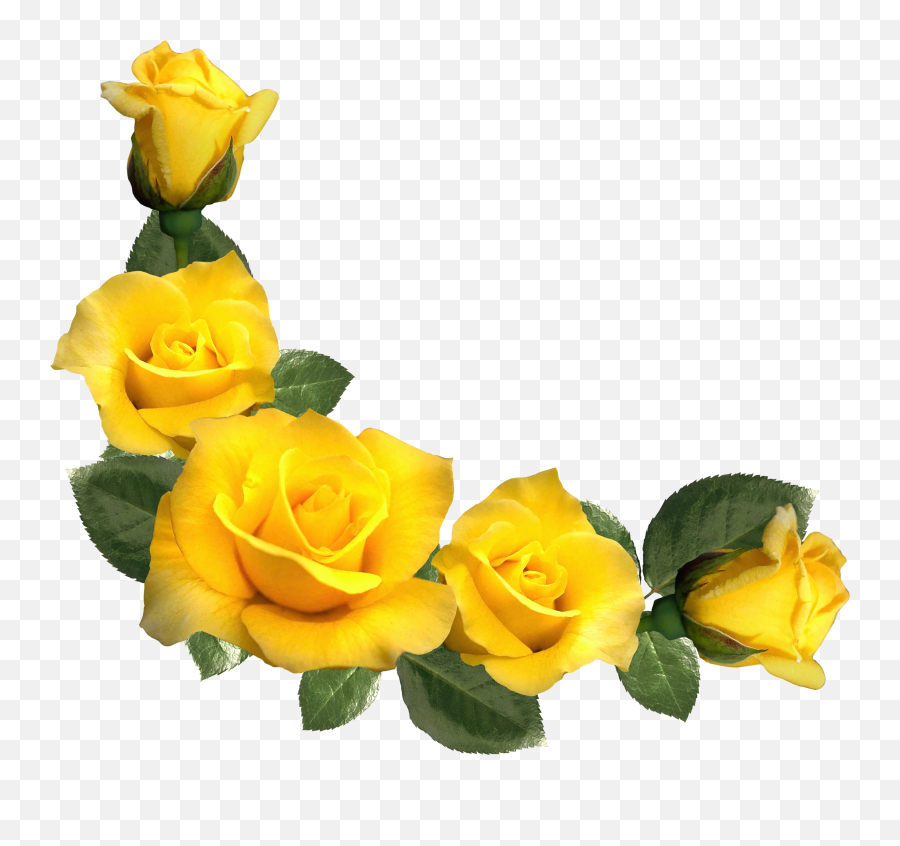 Download Free Png Beautiful Yellow Roses Decor Clipart - Border Yellow Flower Png,Rose Clipart Png