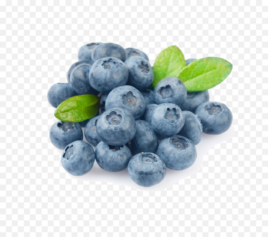 Download Blueberry Png Photo - Fresh Blueberries,Blueberries Png