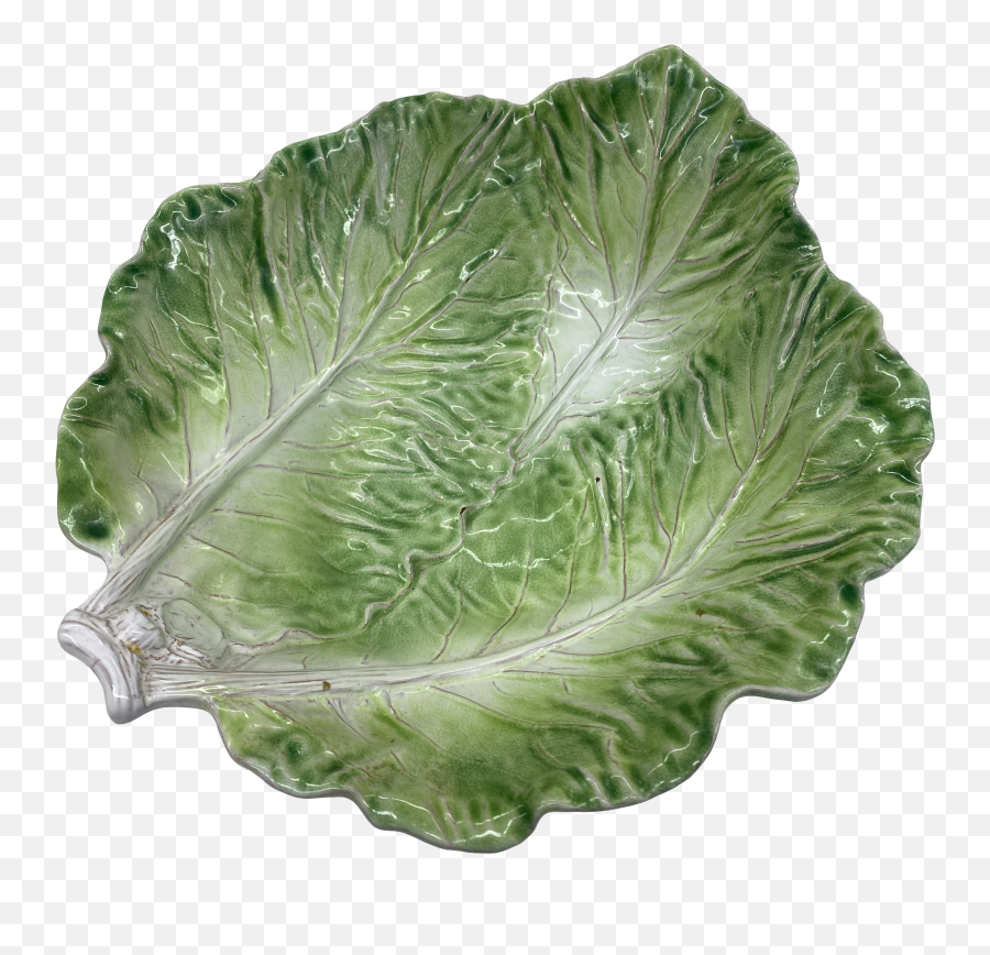 Cabbage Bowl - Italy Collard Greens Png,Cabbage Transparent