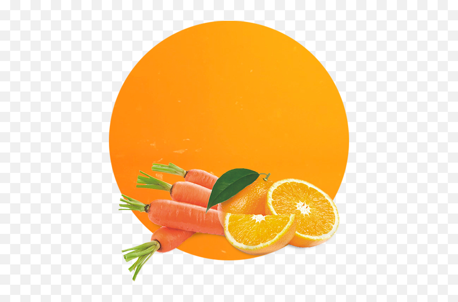Orange U0026 Carrot Compound - Manufacturer And Supplier Carrot And Orange Png,Carrot Png