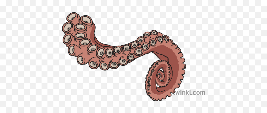 Tentacle Illustration - Twinkl Earthworm Png,Tentacle Png