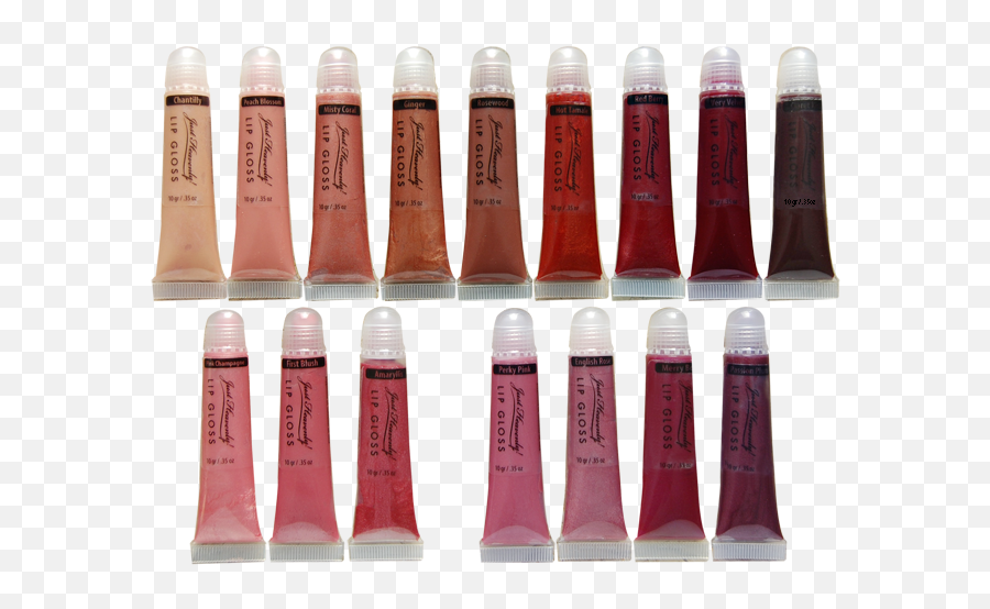 Misty Coral Lip Gloss U2014 Just Heavenly - Small Lip Gloss Png,Misty Png