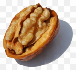 Download Cerneaux De Noix - Pastry Png,Walnut Png