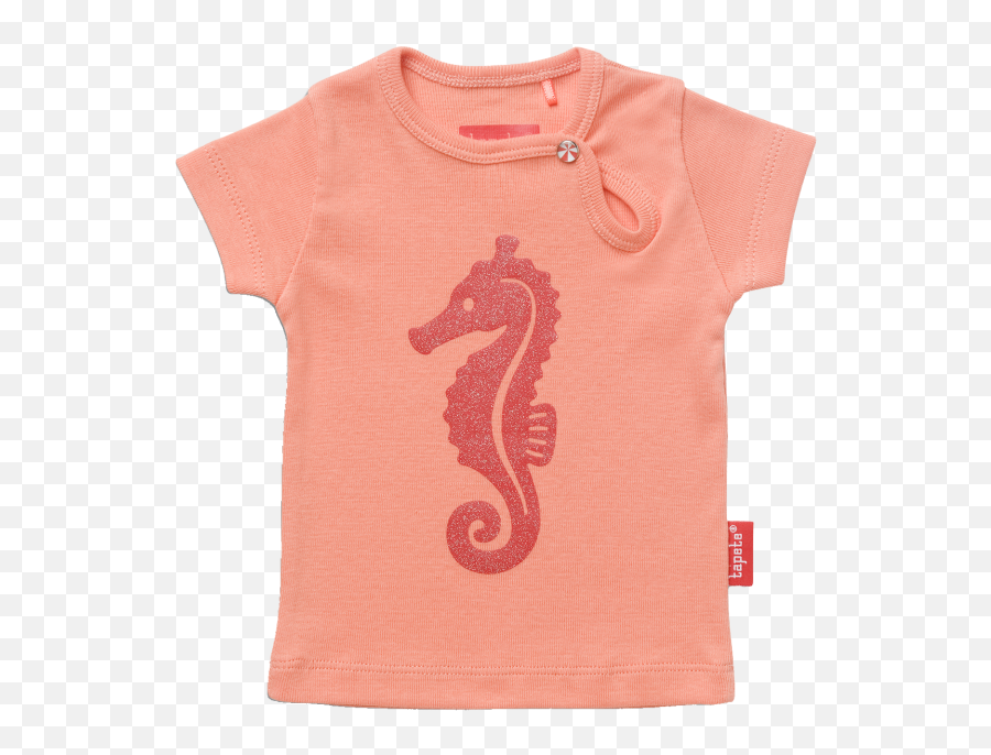 Download Tapete Ava Sea Horse - Northern Seahorse Png Image Northern Seahorse,Sea Horse Png