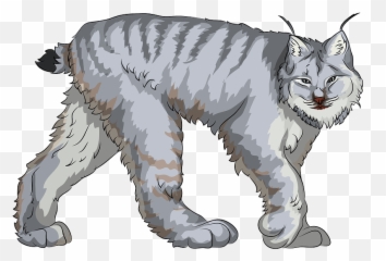 Canadian Lynx Clipart Free Download Transparent Png - Lynx Clipart,Lynx Png