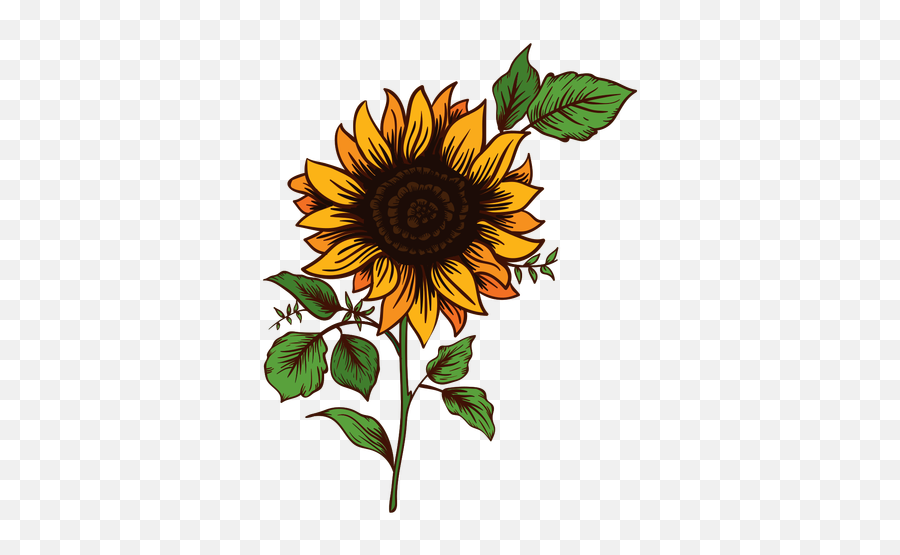 Sunflower Doodle Transparent U0026 Png Clipart Free Download - Ywd Sunflower Drawing Png,Sunflower Transparent Background
