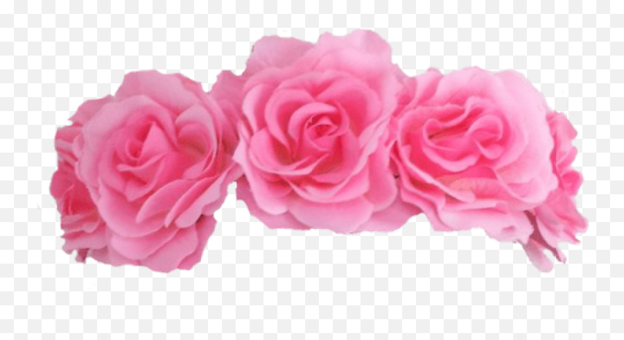 Download Pink Flower Crown Transparent - Pink Roses Crown Png,Flower Crown Transparent Png