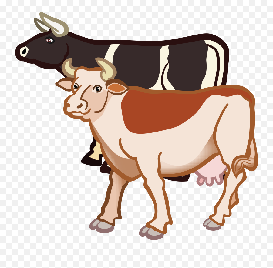 Download Free Clipart Of A Pair Cows - Two Cows Clipart Png,Cows Png