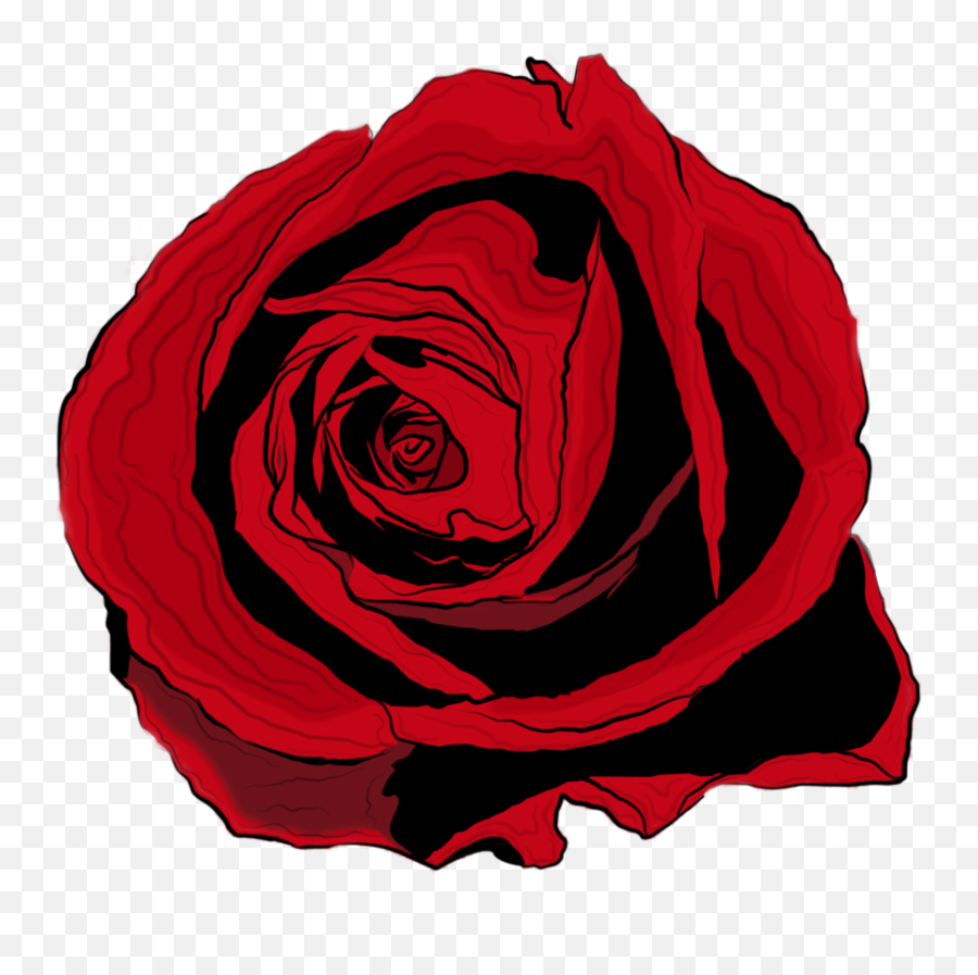 Bobhertley - Red Rose Drawing Png,Rose Drawing Png
