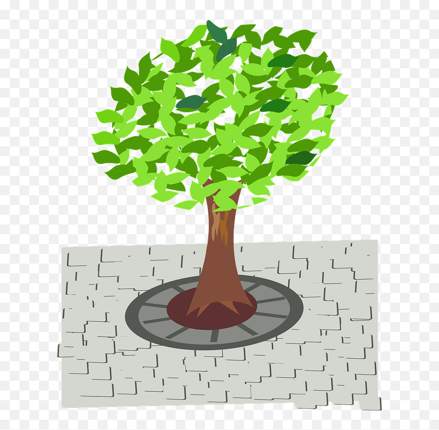 Green Tree In The Sidewalk Clipart Free Download - Street Tree Clipart Png,Side Walk Png
