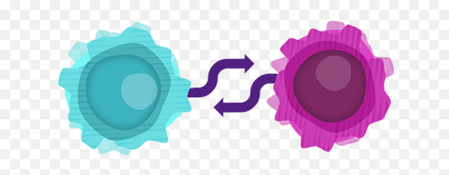 T Cells - B Cells And T Cells Png,Cells Png