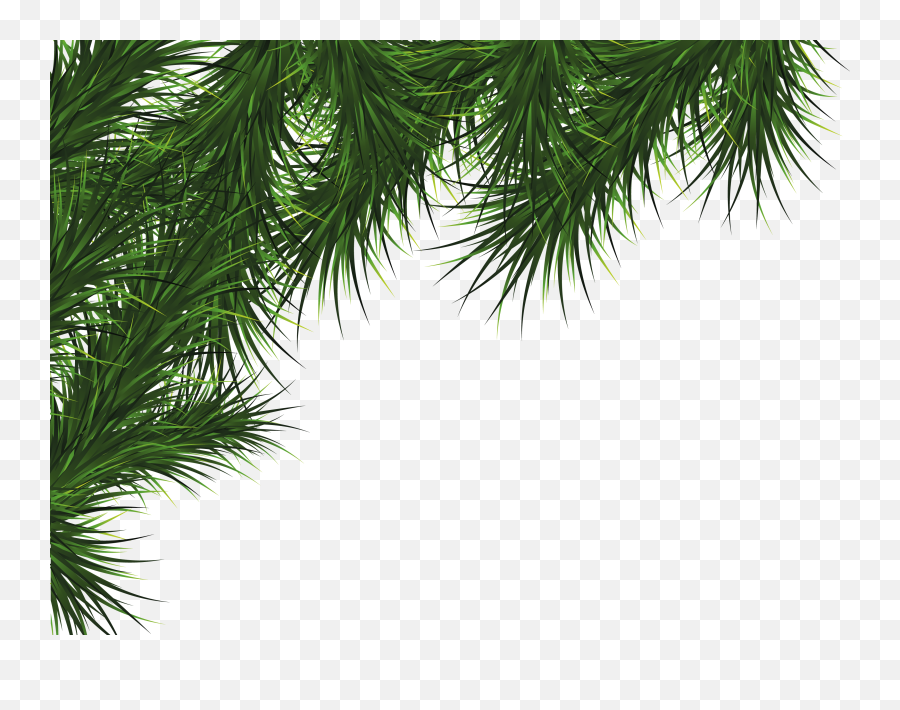 Palm Tree Background Clipart - Tree Lea 1313415 Png Christmas Borders Clipart Free,Palm Tree Leaves Png