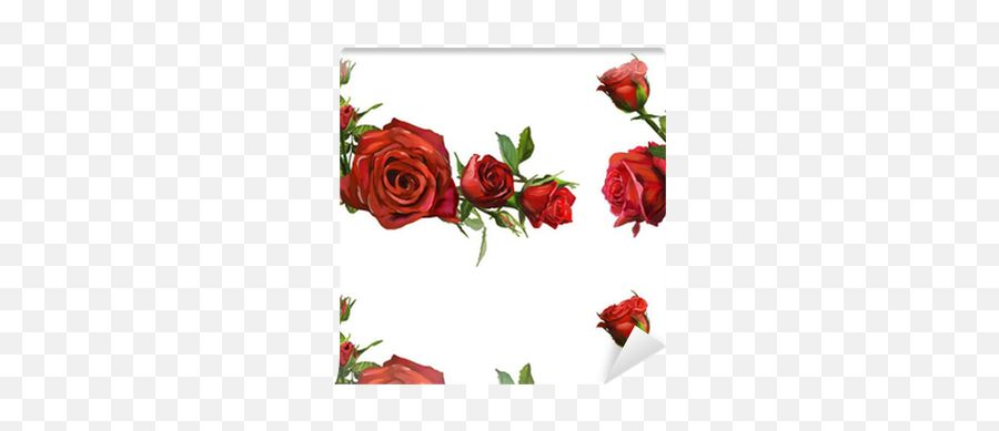 Papel Pintado Decoración De Flores Rosas Rojas U2022 Pixers - Vivimos Para Cambiar Quadri Di Rose Rosse Png,Rosas Rojas Png