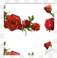 Papel Pintado Decoración De Flores Rosas Rojas U2022 Pixers - Vivimos Para Cambiar Quadri Di Rose Rosse Png,Rosas Rojas Png