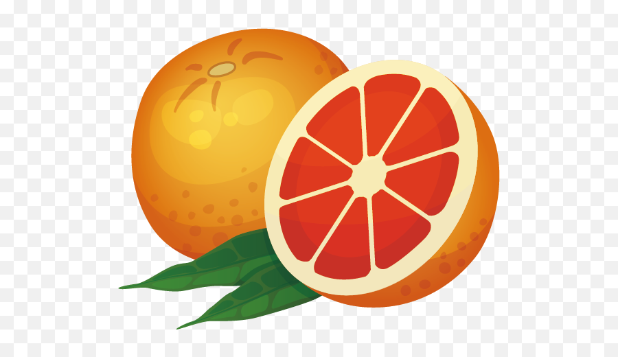 Orange Icon - Rangpur Png,Grapefruit Icon