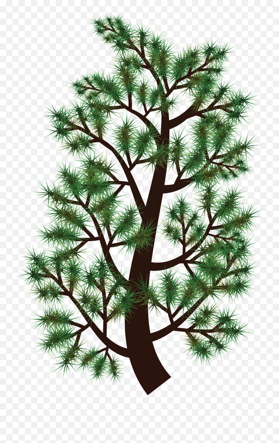 Free Clipart Of A Pine Tree Branch - Clip Art Png,Pine Branch Png
